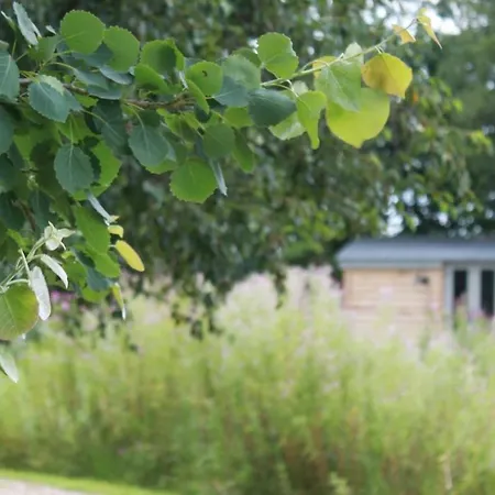 Campsite Luxury Shepherds Hut - The Moorhen By The